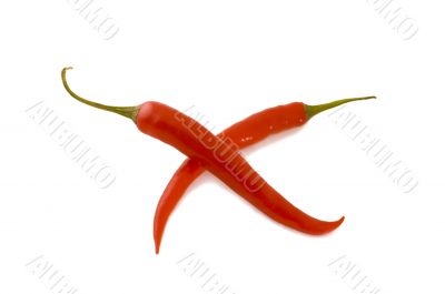 red hot chili pepper