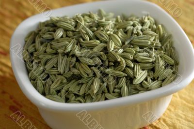 Fennel Seeds Dried as condiments Fennel Seeds Dried as condiments