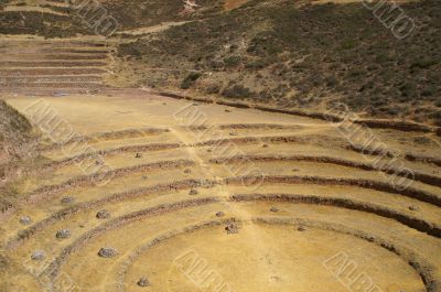 Inca ruins