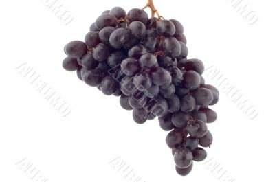Black grapes