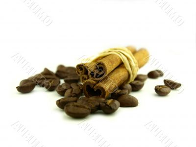 cinnamon very close and coffee beans cinnamon very close and coffee beans