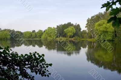 pond in forest