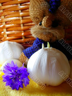 Garlic