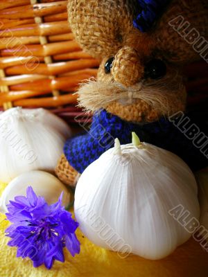 Garlic
