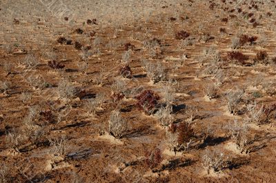 Background with deserted land and shadows