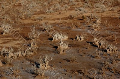 Background with deserted land and shadows