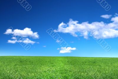 view of peaceful grassland