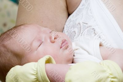 Newborn sleeping