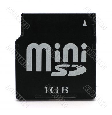 Flash-card of miniSD form-factor