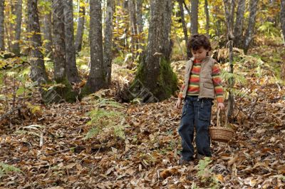 Precious child picking mushrooms