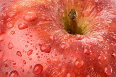 Macro apple with red drops of water