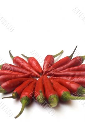 Chili  peppers against white background