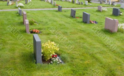 cemetery cemetery
