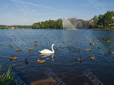 Beautiful lake in Poland