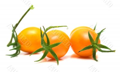 perfect yellow tomatoes 2