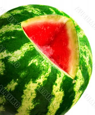 watermelon