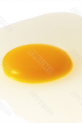 egg