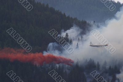 Forest Fire Fighting A