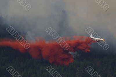 Forest Fire Fighting E