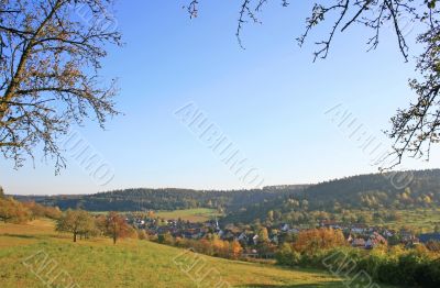 Autumnal Black Forest