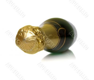 champagne bottle 2