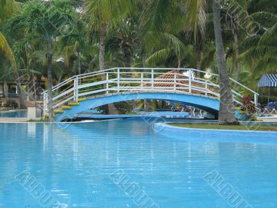 blue pool with bridge in a tropical setting