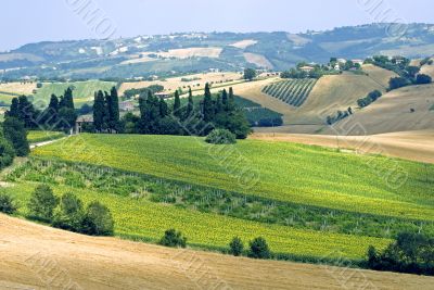 Marche - Landscape Marche - Landscape