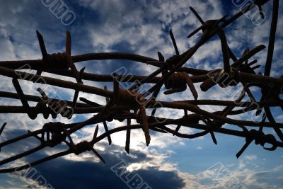 Barbed Wire