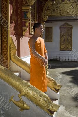 Buddhistic monk, , Luang Prabang, Laos