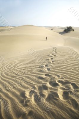 footsteps at the desert
