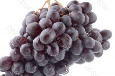 Raw grapes closeup