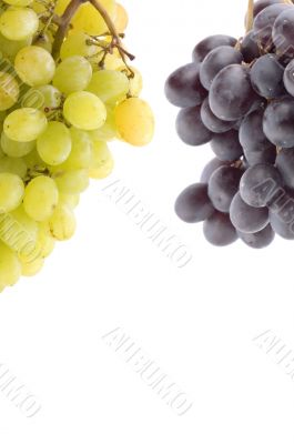 Raw grapes on white