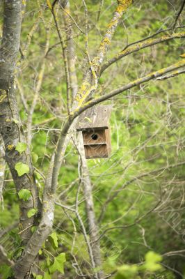 bird house