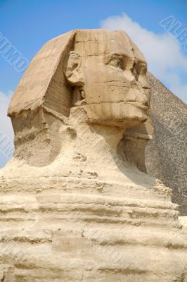 sphinx head