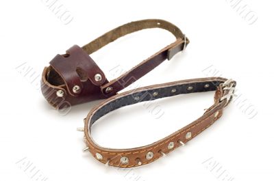 muzzle and collar