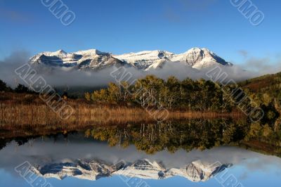 Fall Reflections