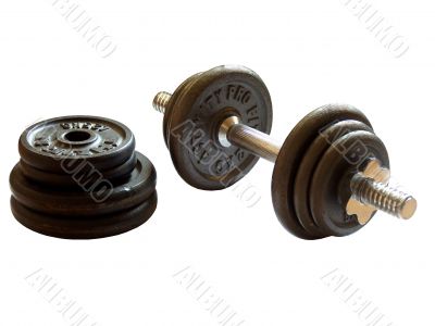 dumbells