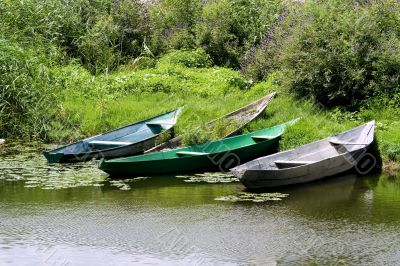 Several fishing boats on the shore