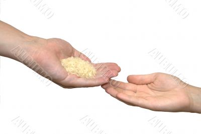 handful of rice