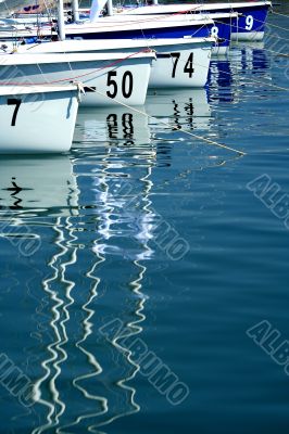 sailboats in marina before start of regatta