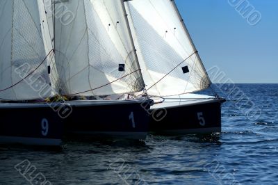Start of sailing race Start of sailing race
