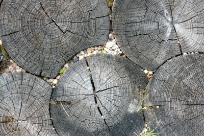 wood circles