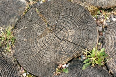 wood circles
