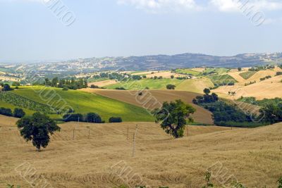 Marche - Panorama