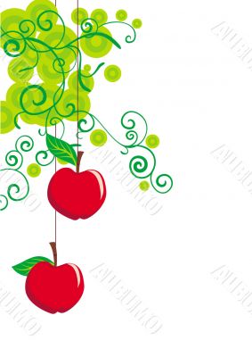 apples background apples background