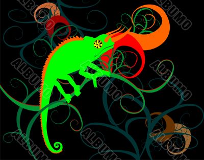 chameleon on branch in the jungle chameleon on branch in the jungle