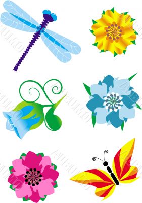 insects and flowers set