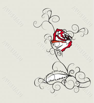 red rose red rose