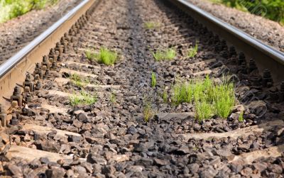 Rails and grass