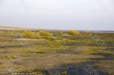 beach view of ameland during sunrise, the netherlands
